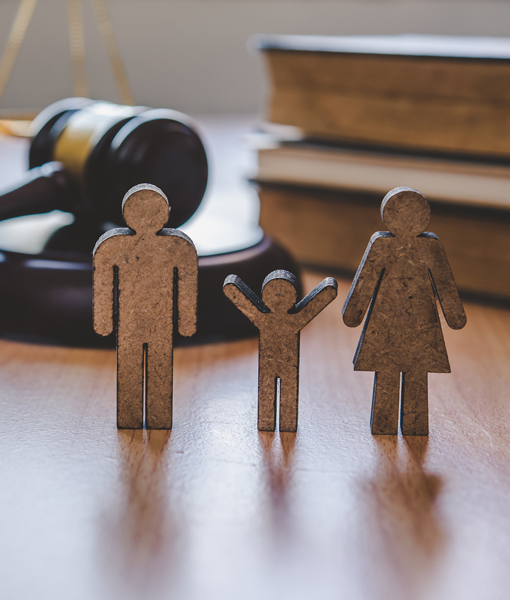 撫養權訴訟/協議